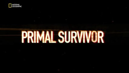 Инстинкт выживания Невыносимый холод 2015