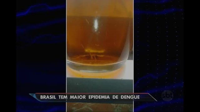 Ministério da Saúde registrou 863 mortes em decorrência da dengue em 2015