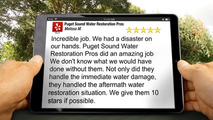 Puget Sound Water Restoration Pros 5 Star Review by Melissa M.