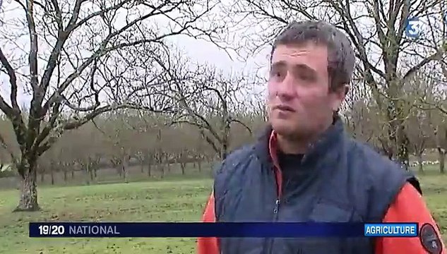 Grippe aviaire : une filière en crise après l'instauration du gel de la production