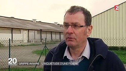 Grippe aviaire : 250 millions d'euros perdus
