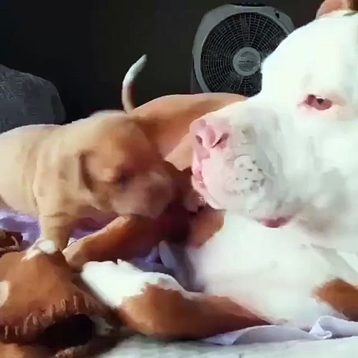 ''Oh no, you got me''
