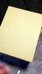 Unboxing a box of furriness