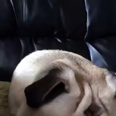 When someone tries to wake you up before your alarm goes off