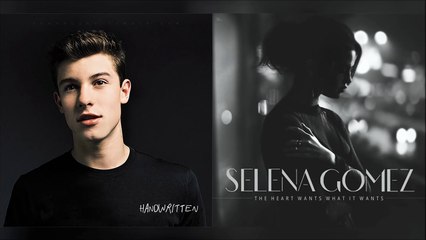 The Hearts Weight | Shawn Mendes & Selena Gomez Mashup!