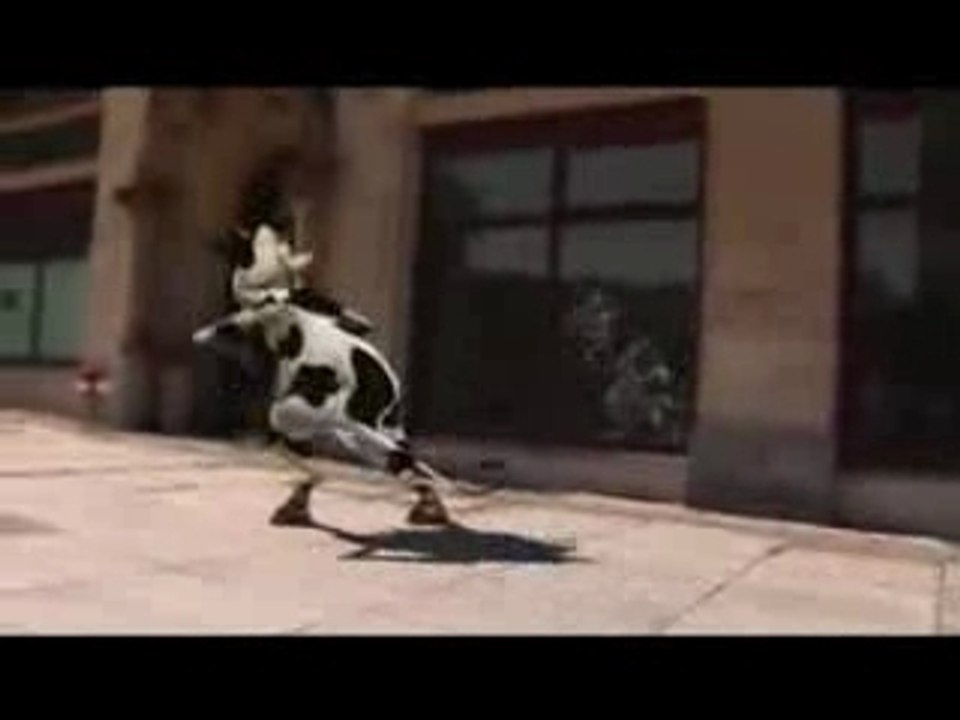 Crazy Cow