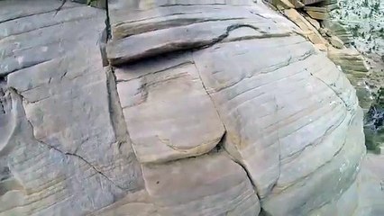 Touring into the  Caribou Tracks National Park 1080P