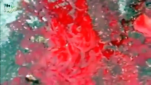 Сирия. Бармалеи недовольны после авиаудара русской авиации / Syria. after airstrike aviation