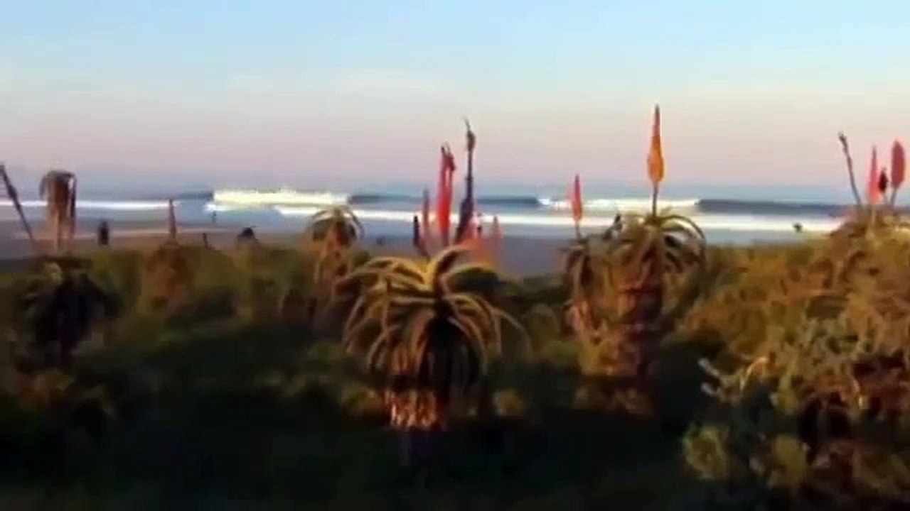 GREAT WHITE SHARK ATTACKS Caught On Tape - National Geographic -