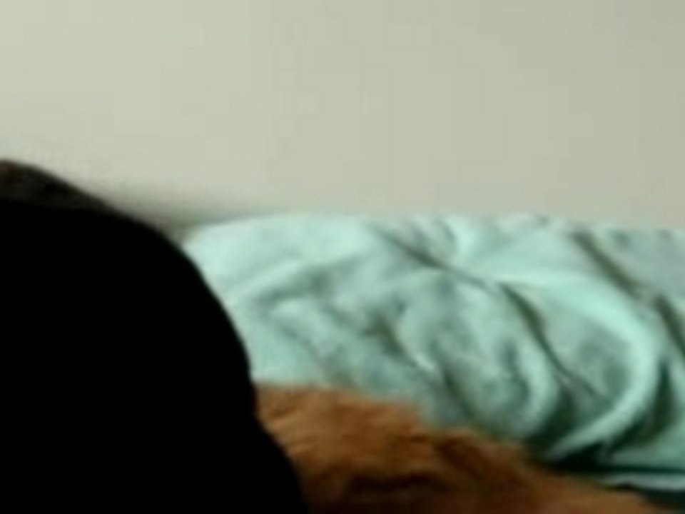 Petite bagarre.mov