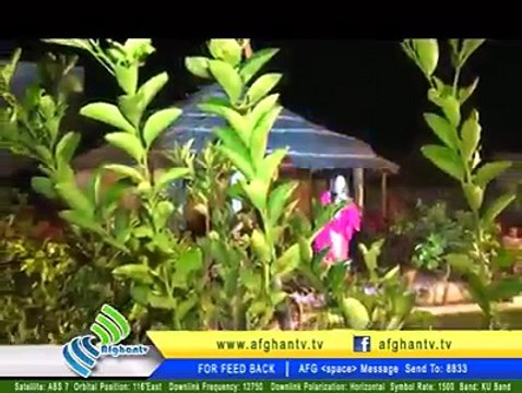 Pashto new songs musafaro tappy nadia gul 2015 201