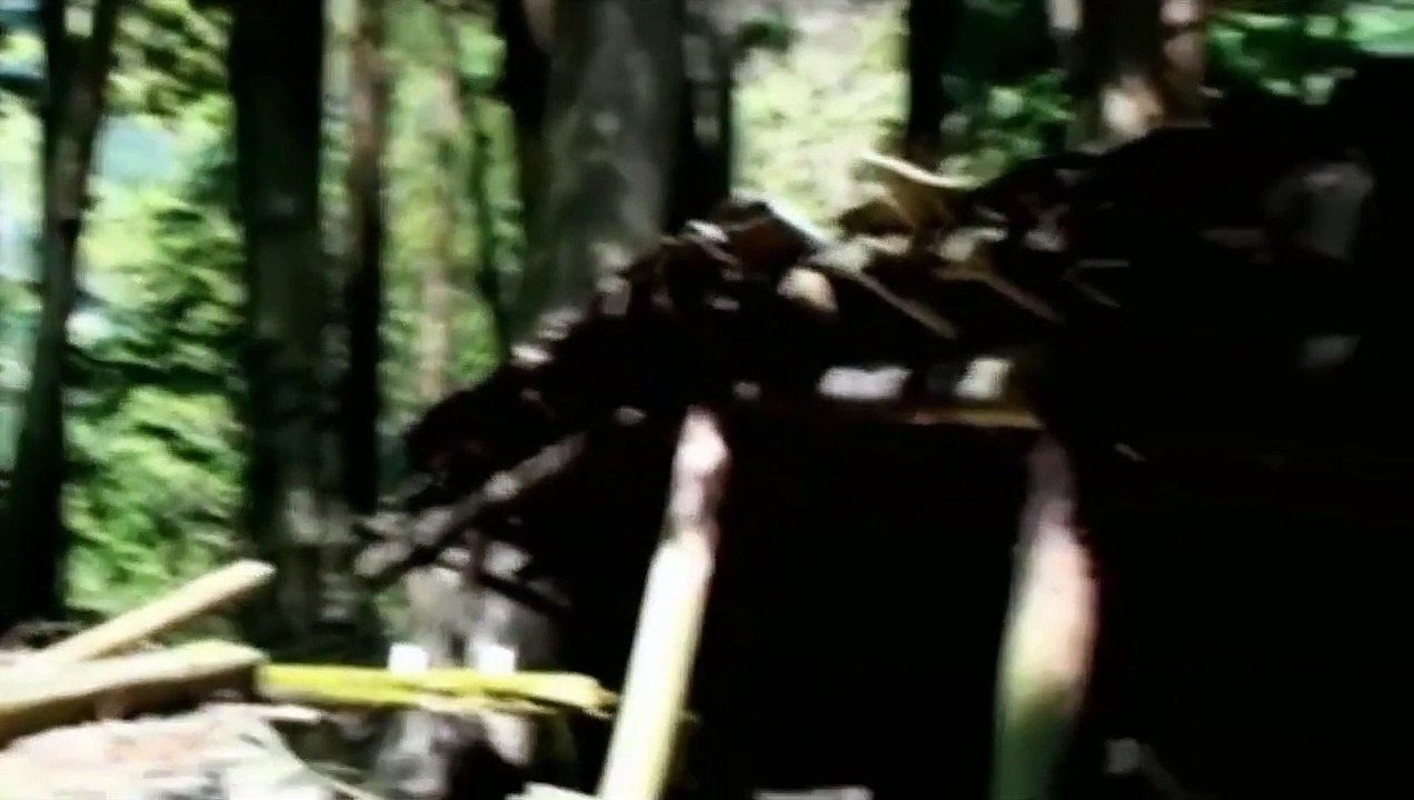 心霊動画「最恐心霊映像・心霊現象・PART17」呪い最新HDD スーパー