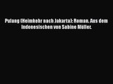 Pulang (Heimkehr nach Jakarta): Roman. Aus dem Indonesischen von Sabine Müller. PDF Herunterladen