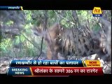 The Tiger King Of Ranthambore National Park Sultan Returns