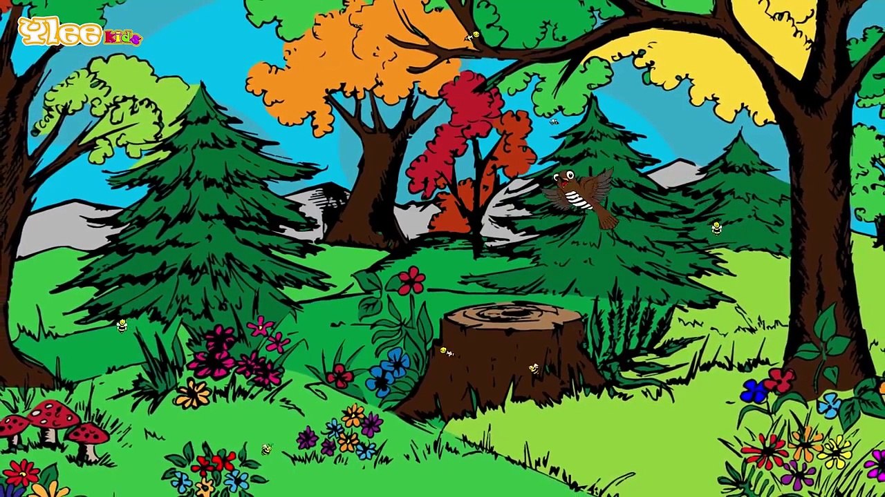 Cuco, cuco, canta en el bosque canciones infantil Yleekids