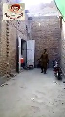 Chriii Juttiii What a Talent