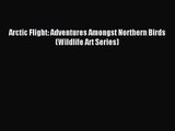 Download Birds In Flight The Art And Science Of How Birds - 