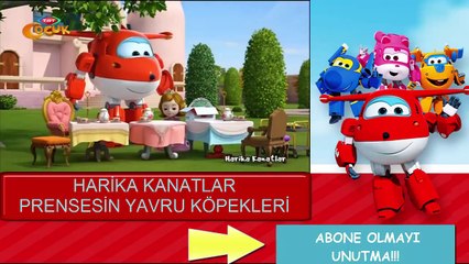 Harika Kanatlar Prensesin Yavru Köpekleri