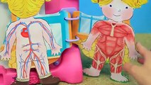 Baby Alive School Nenuco Pretend Play Student & Teacher Preschool & Learning Lucy DisneyCarToys