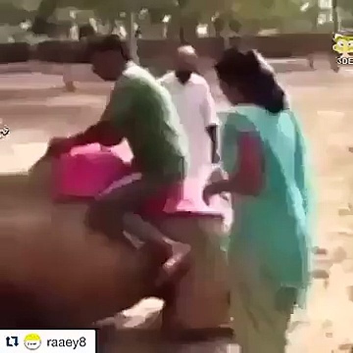 wa g wa kya jori hai