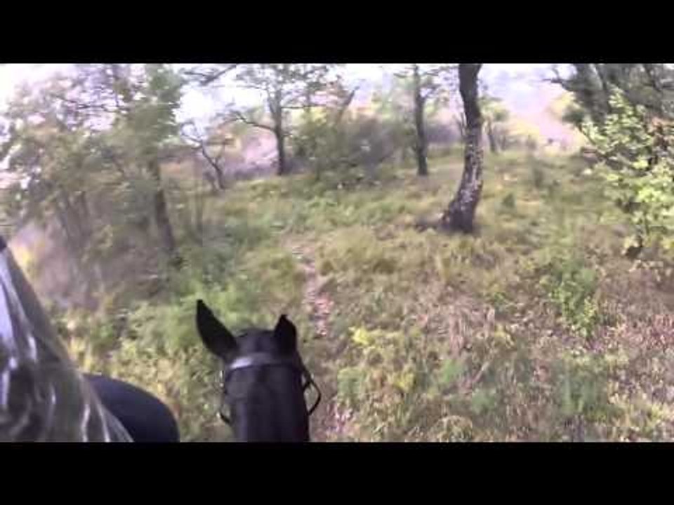 How To Teach Beginner Riders
