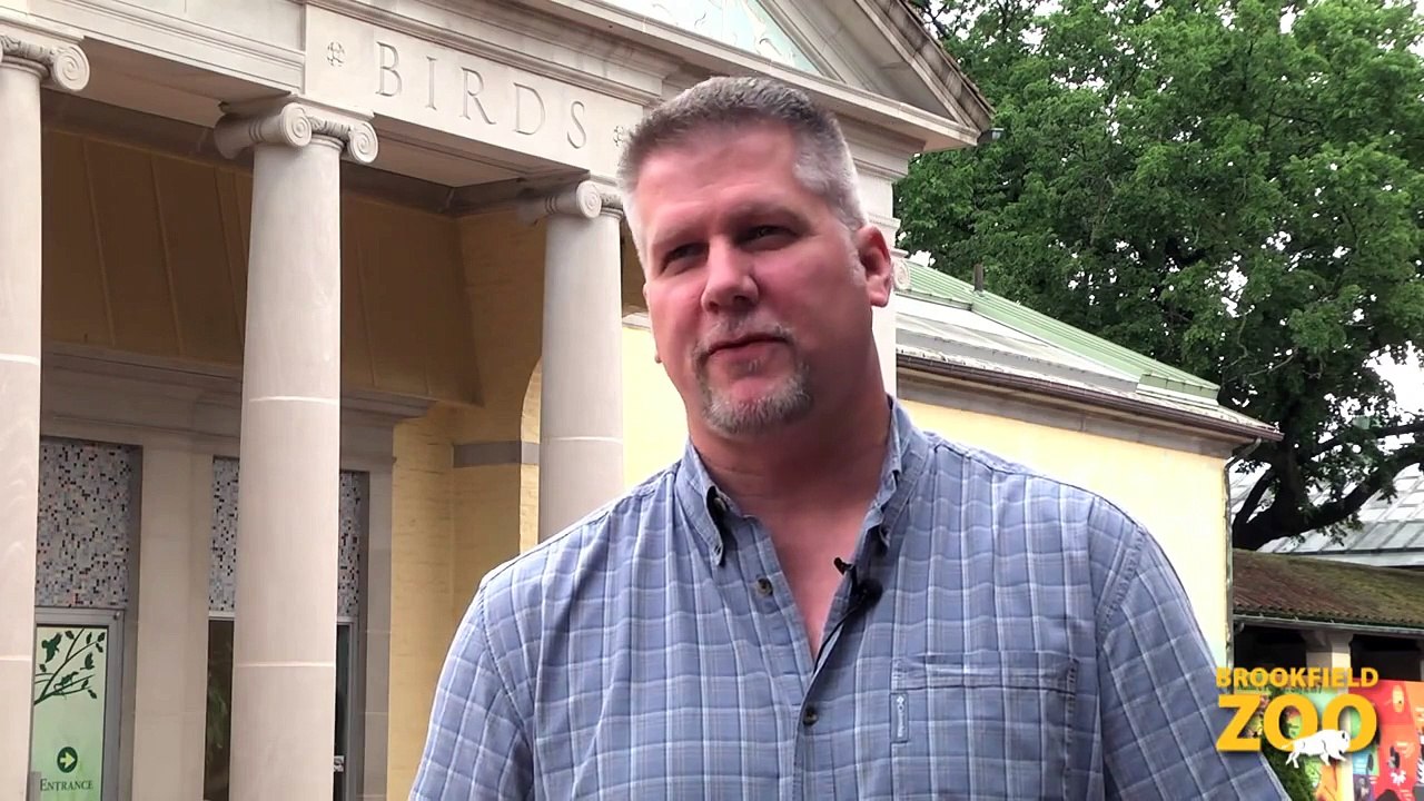 Cookie Cockatoo 80th Birthday Celebration
