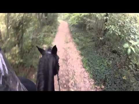 Kevin Hart Let Me Explain Kevin Horse Back Riding Alright Let's Ride HD