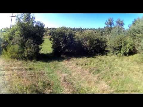 马,馬,Funny Horses,good night Filly 4,Funny Animals,pferde video,Horse video,Foal,Baby horse,子馬