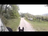 Teaching a Young Horse to accept a rider   Rick Gore Horsemanship   www thinklikeahorse org