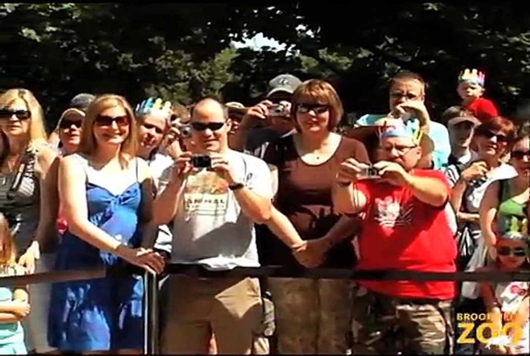 Cookie Cockatoo's 78th Birthday