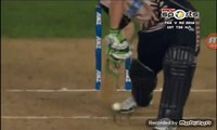 pakistan vs newziland t20 umergul take a wicket