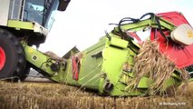 3 Claas Lexion & John Deere:Getreideernte Claas Lexion combines harvest barley