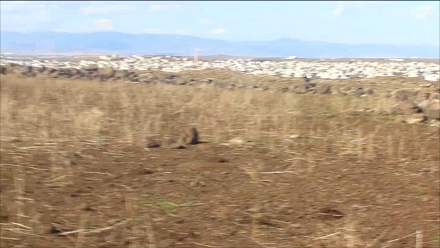 معارك عنيفة بين المعارضة والنظام بريف حماة الجنوبي