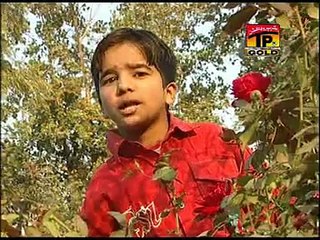 Rizwan Sohna - YAAR MERE DA TOTA