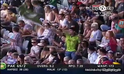 1st t20 pakistan vs newziland shoaib MALIK innings