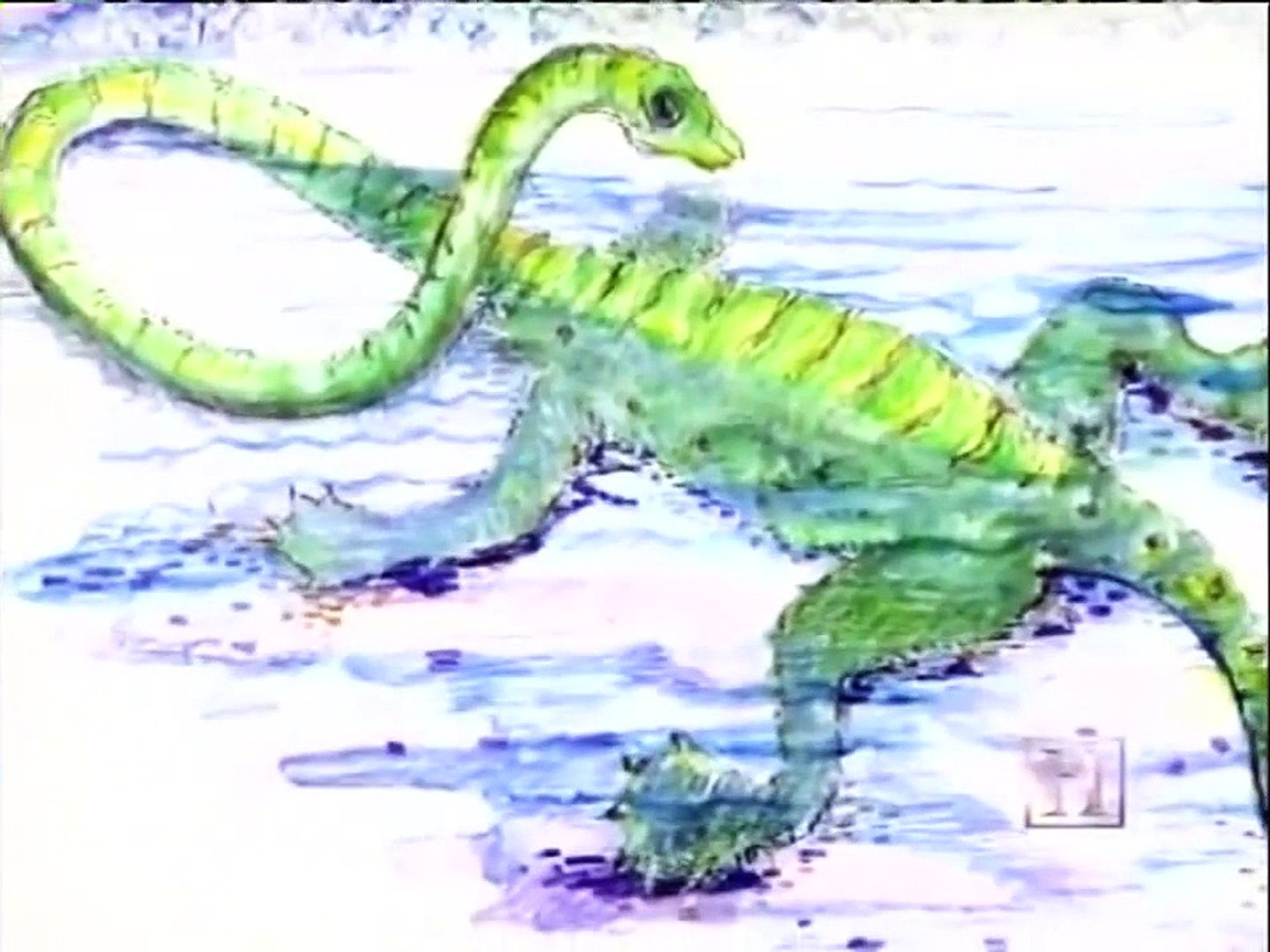 ⁣watch Animals Documentary   The Amazing Sea Monsters Full Animals Documentary