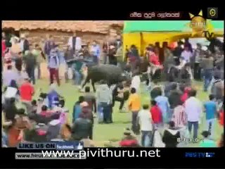 Meka Puduma Lokayak 16.01.2016