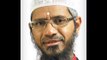 Dr. Zakir Naik Has Converted to Hinduism (In Theory)
