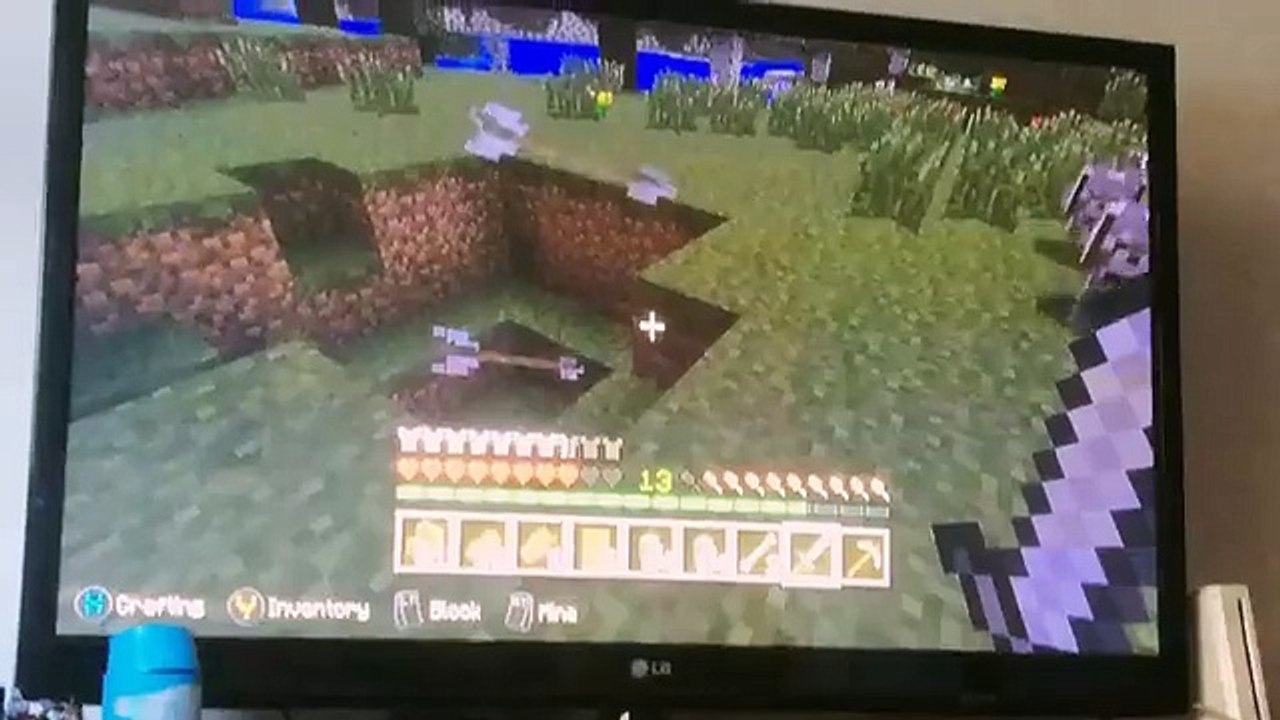 Weird Minecraft Skeleton Arrow Glitch