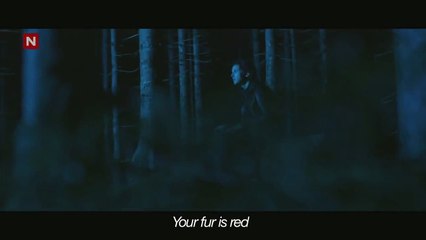 28. what does the fox say