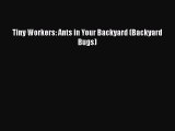 [PDF Download] Tiny Workers: Ants in Your Backyard (Backyard Bugs) [Download] Full Ebook