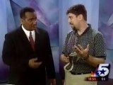 01. Dallas Funny News - Lizard Jumps on News Guy