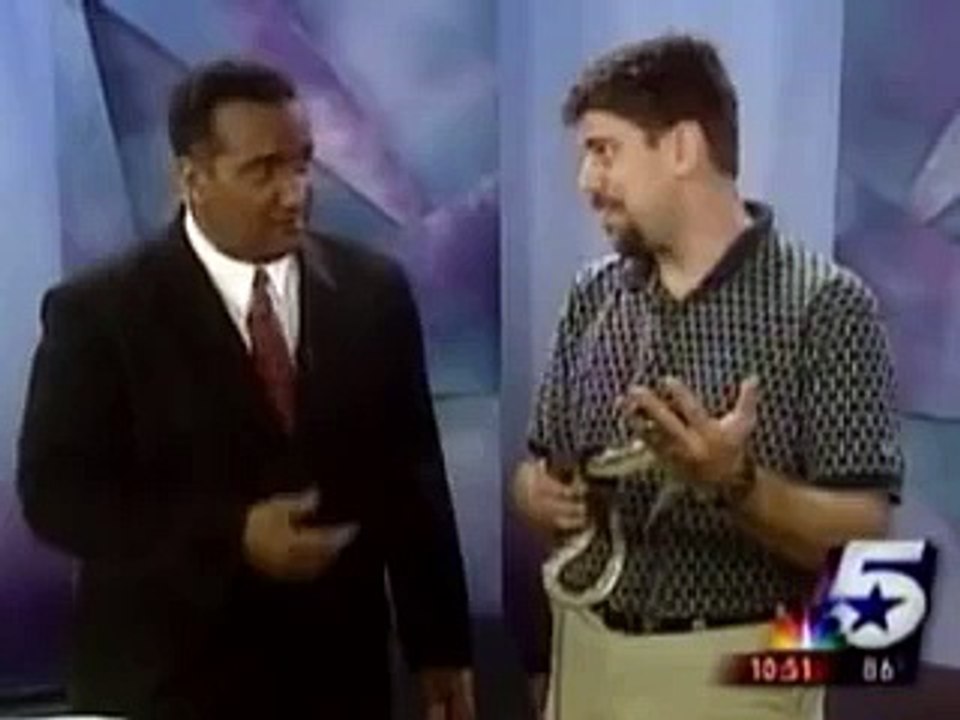 01. Dallas Funny News - Lizard Jumps on News Guy