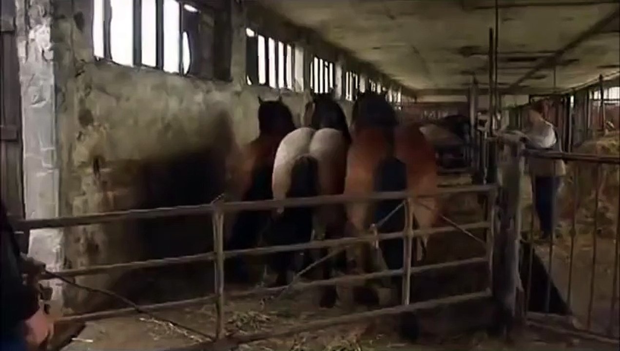 06. Horse Front Flip!