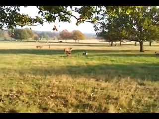 07. JESUS CHRIST IN RICHMOND PARK  ORIGINAL UPLOAD