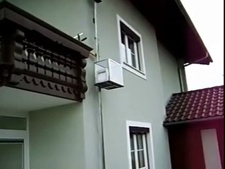 Ascenseur pour chat... Vous ne rêvez pas!