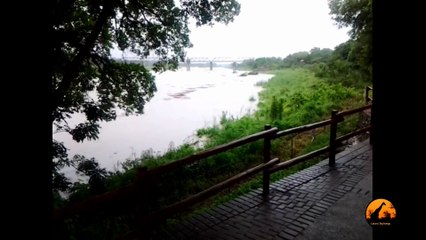 Kruger Floods - 19 January 2013 - Latest Sightings