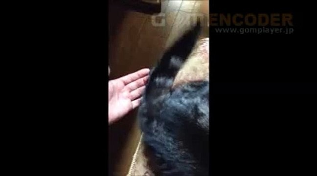 22 モテる男のための禁欲マニュアル『断射プログラム』オナ禁でフェロモンとオーラを搭載した男に進化せよ！ 特典 評判 購入 感想 お試し 動画 ブログ 評価 ネタバレ レビュー