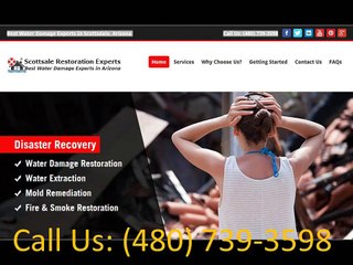 Mesa Water Damage (480) 739-3598