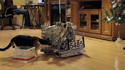 Funny Moments _ Funny cats Robots  | best movies this week